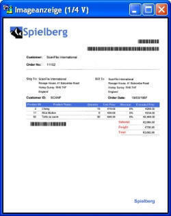 ScanFile V8 Dokumentenanzeige
